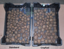 Crop Fuel gebruik in pootaardappelen geeft een duidelijk verschil in gelijkmatige sortering
