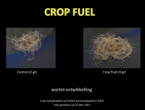 Verdubbeling van de wortelmassa door het gebruik van Crop Fuel