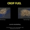 Verdubbeling van de wortelmassa door het gebruik van Crop Fuel